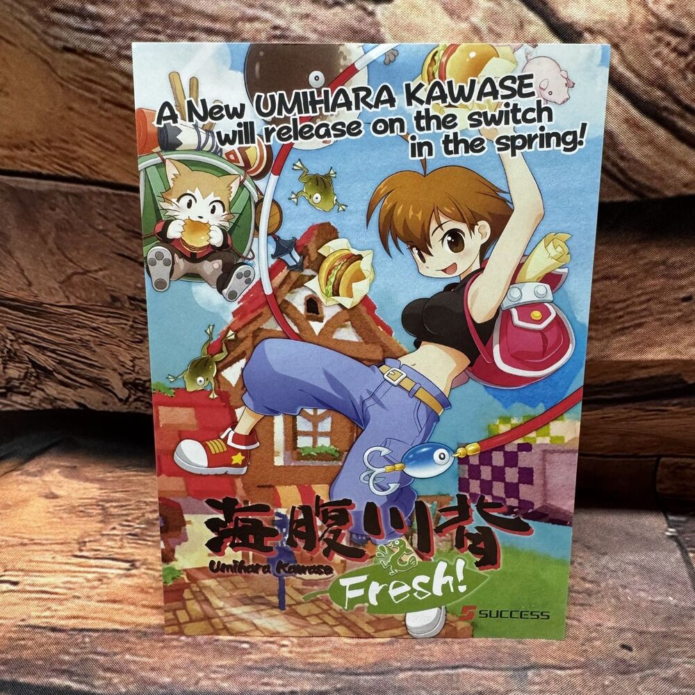 Umihara Kawase Fresh Nintendo Switch Promotional Flyer Art Card Poster Japan Art